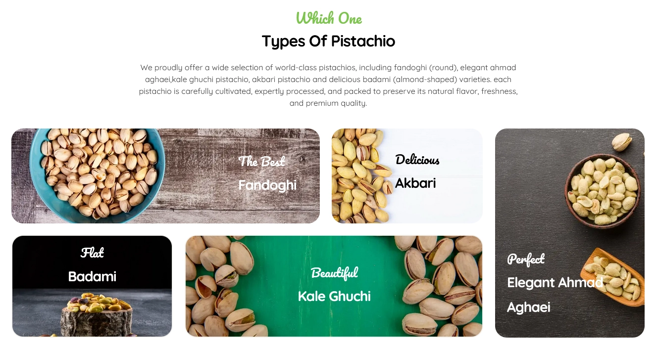 ترشیز تجارت (وبسایت شرکتی)